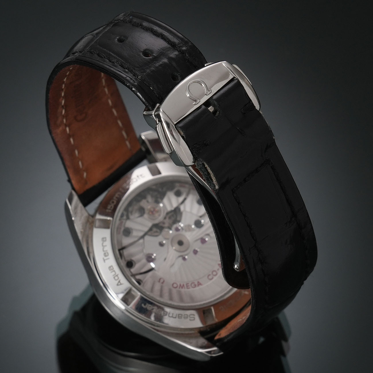 오메가 씨마스터 아쿠아테라