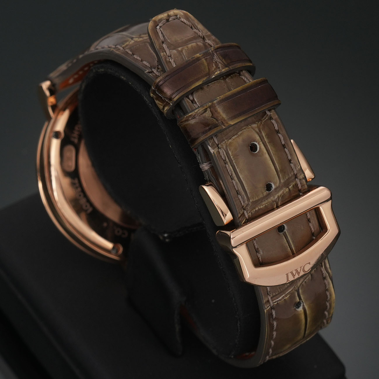 IWV 포르토피노 데이 & 나이트