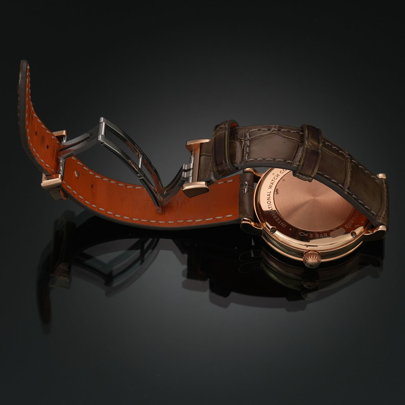 IWV 포르토피노 데이 & 나이트